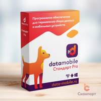 DataMobile Стандарт Pro облачная на 12 месяцев
